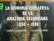 Cover of: La economía extractiva en la Amazonia colombiana, 1850-1930