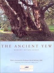 The ancient yew by Robert Bevan-Jones