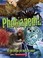Cover of: Phobiapedia