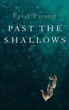 Cover of: Past the shallows
