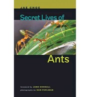 Cover of: Secret lives of ants