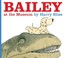 Cover of: Bailey at the museum