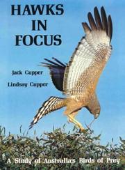 Cover of: Hawks in focus by Jack Cupper