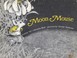 Cover of: Moon mouse.