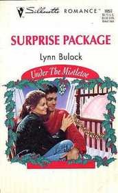 Cover of: Surprise Package (Under The Mistletoe) by Bulock, Lynn Bulock