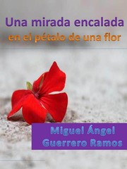 Cover of: Una mirada encalada en el pétalo de una flor by 