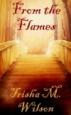 Cover of: From The Flames