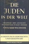 Cover of: Die Juden in der Welt: Gegenwart und Geschichte des Judentums in allen Ländern