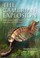 Cover of: The Cambrian Explosion
