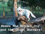 Cover of: Neewa the Wonder Dog and The Ghost Hunters. Vol. 1 The Mystery of the Indian Medicine Woman is Revealed! by 