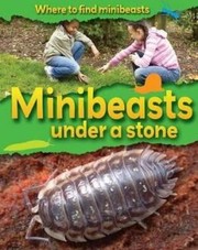 Cover of: Minibeasts Under a Stone