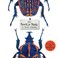 Cover of: The beetle book