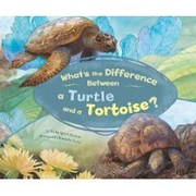 Cover of: What's the difference between a turtle and a tortoise?