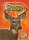 Cover of: Deer