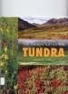 Cover of: Tundra by Michael George