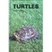 Cover of: Turtles