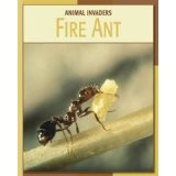 Cover of: Fire ant