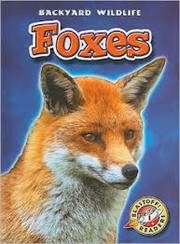 Cover of: Foxes by Emily K. Green, Emily K. Green