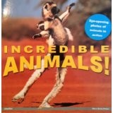 Cover of: Incredible animals by Play Bac