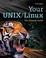 Cover of: Your UNIX/LINUX