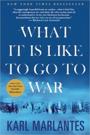 Cover of: What It Is Like to Go to War by 