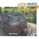 Cover of: Mysteries of the Komodo dragon