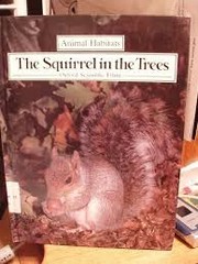 Cover of: The squirrelin the trees by Jennifer Coldrey