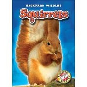 Cover of: Squirrels: (Blastoff Readers-Backyard Wildlife)