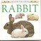 Cover of: Rabbit