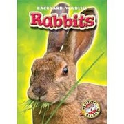 Cover of: Rabbits: (Blastoff Readers; Backyard Wildlife)