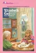 Cover of: The Teddy Bear Mystery (Elizabeth Gail Wind Rider Series #3) by Hilda Stahl, Hilda Stahl