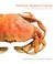 Cover of: American Regional Cuisines