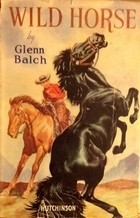 Wild Horse by Glenn Balch