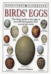 Birds' eggs by Walters, Michael
