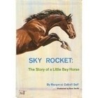 Cover of: Sky rocket