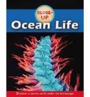 Cover of: Ocean Life (Close-Up)