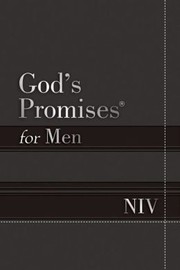 Cover of: God's Promises for Men NIV