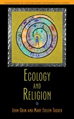 Cover of: Ecology and religion by 