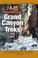 Cover of: Grand Canyon treks