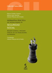 Normativa práctica del Sistema Español de Seguridad Social by Nieves Ciruelos Carrasco, Mónica Llano Sánchez, Antonio Piñeyroa de la Fuente