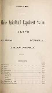 Cover of: A meadow caterpillar