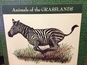 Cover of: Animals of the Grasslands