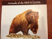 Cover of: Animals of the mountains