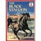 Cover of: The black stallion