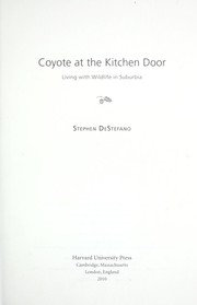 Coyote at the kitchen door by Stephen DeStefano