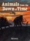 Cover of: Animals from the dawn of time