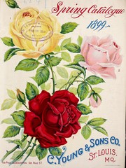 Cover of: Spring catalogue: 1899