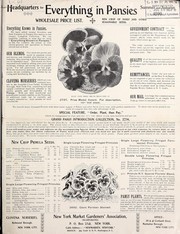 Cover of: Headquarters for everything in pansies: wholesale price list