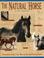 Cover of: The natural horse