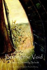 Cover of: Baiting the Void